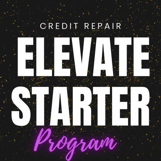 Elevate Starter (Monthly Payment Plan) DFY Program