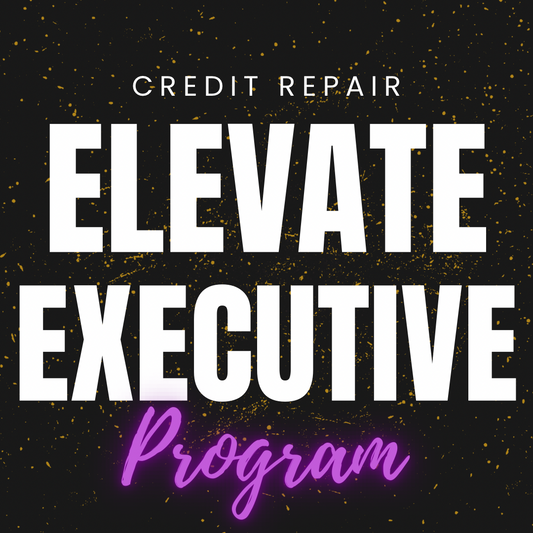 Elevate Executive DFY Program